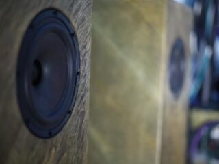 Коаксиальная акустика ЗМ-6.5 «СТАВ» обзоры